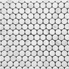 Carrara White Marble 3/4 Inch Penny Round Mosaic Tile